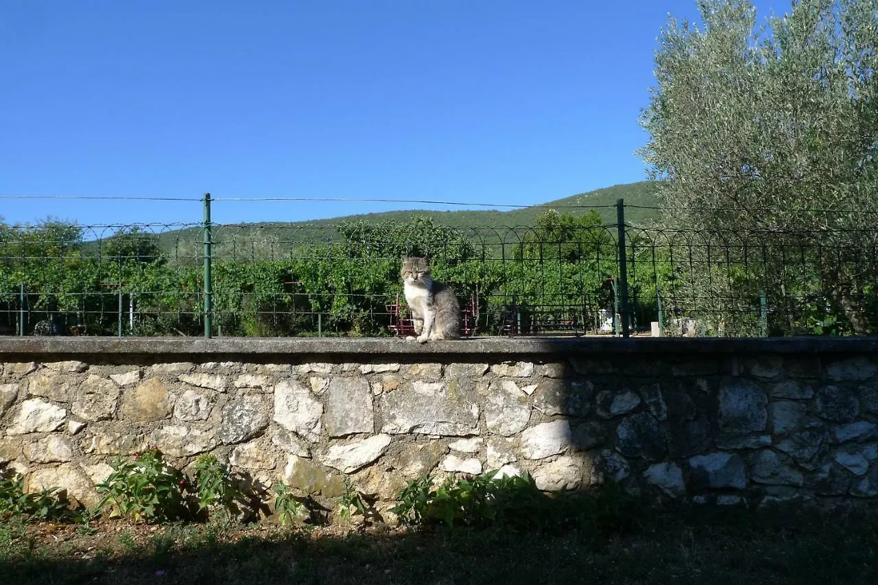 Apartments Smolica Labin